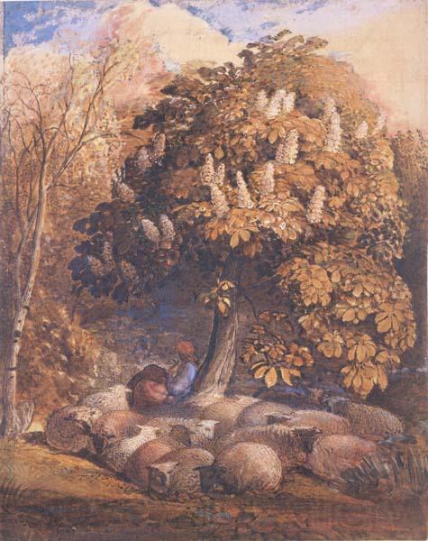 Samuel Palmer Pastoral with a Horse Chestnut Tree Norge oil painting art
